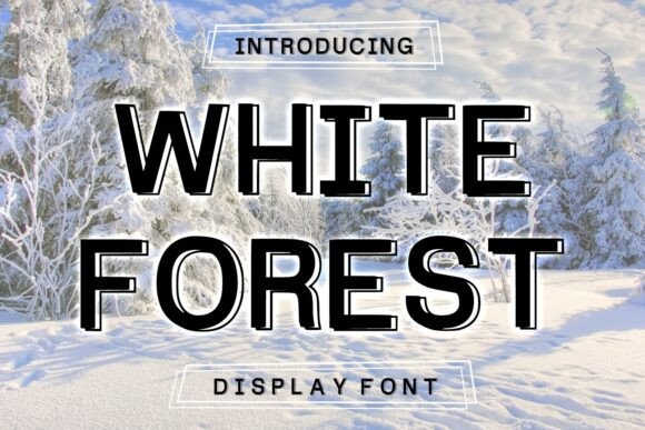 White Forest: A Bold Display Font That Elevates Small Business Branding