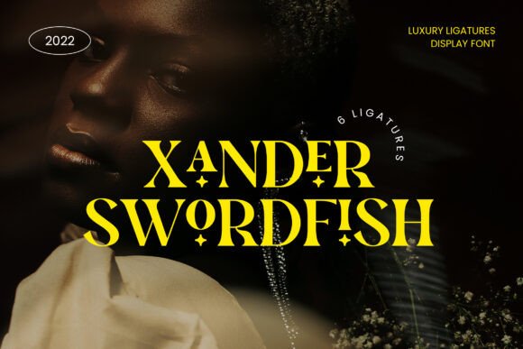 Xander Swordfish: A Designer’s Real-World Test in Brand Typography